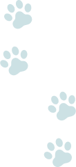 犬の足跡